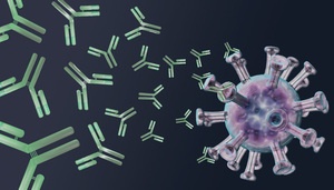 covid-19 - anticorpi contro il coronavirus