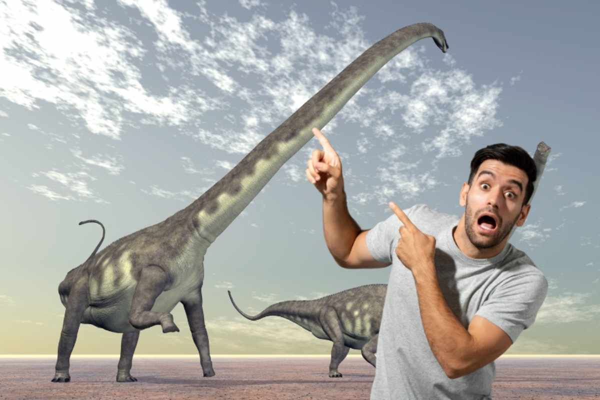 Trovato il dinosauro più grande della storia