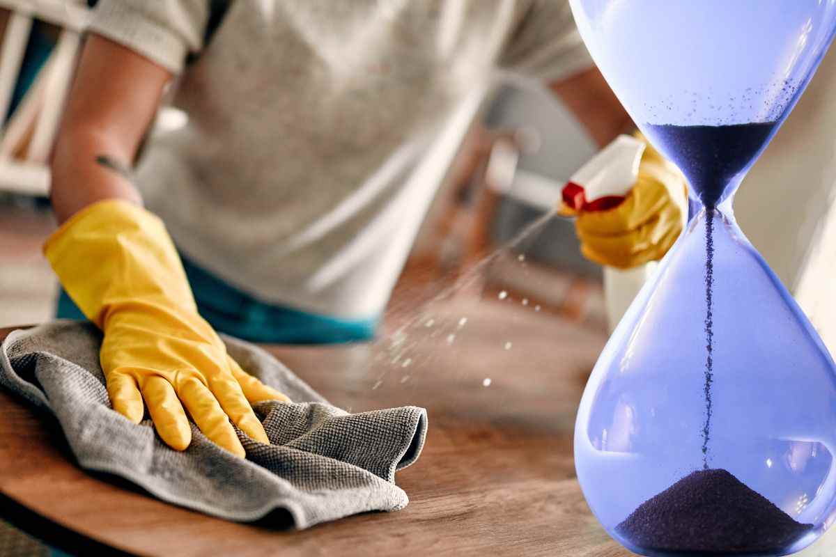 Vuoi pulire la tua casa in modo preciso ed efficiente? 